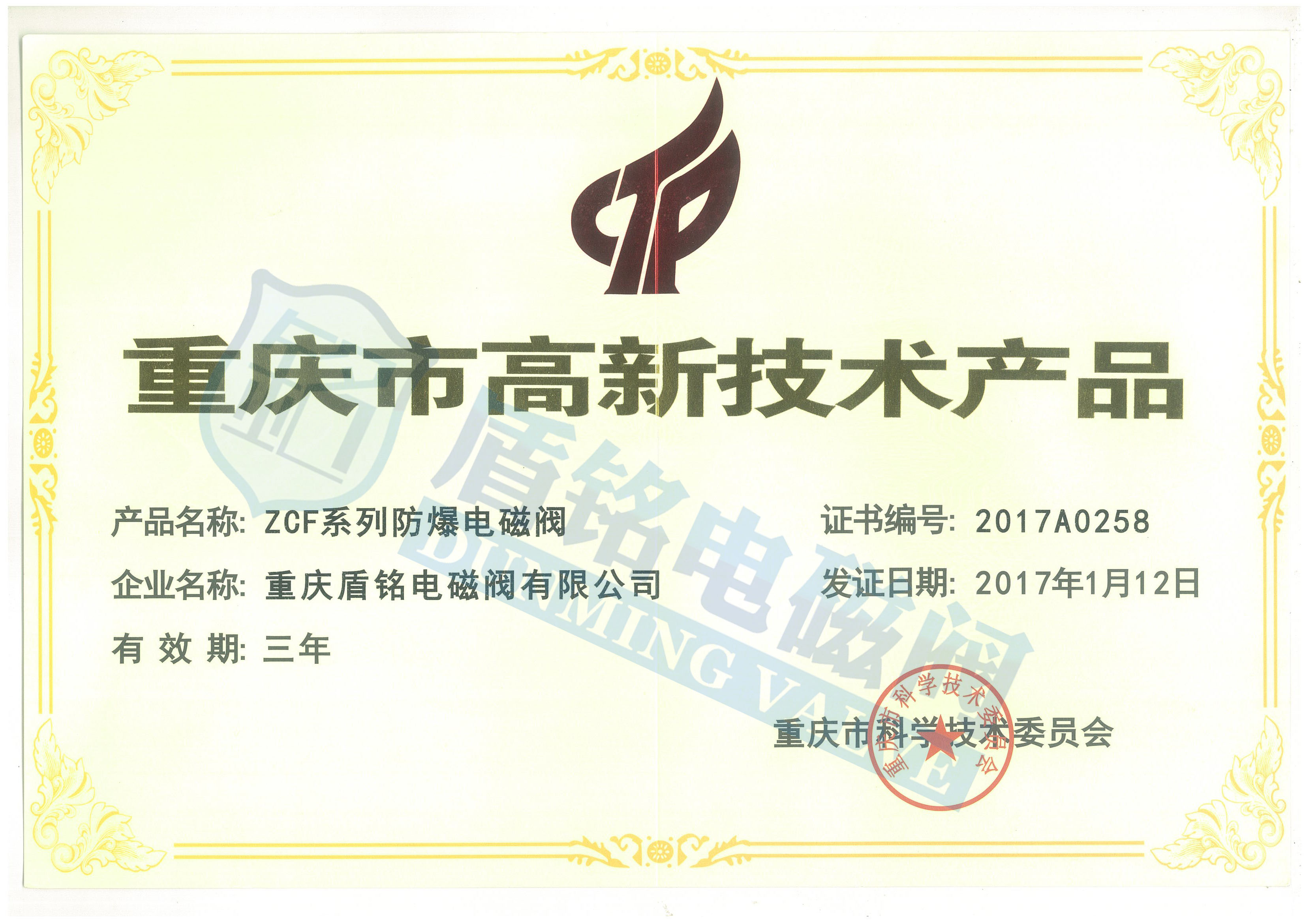 高新技術(shù)產(chǎn)品2.jpg